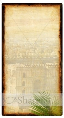 City of David Banner Widget