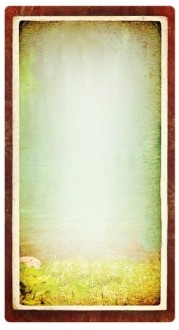 Nature Banner Widget