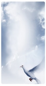Holy Spirit Banner Widget