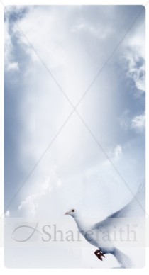 Holy Spirit Banner Widget