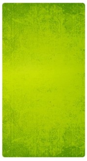 Green Banner Widget