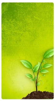 Growth Banner Widget