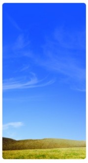 Field Banner Widget