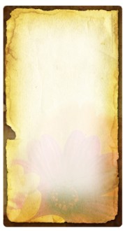 Floral Parchment Banner Widget