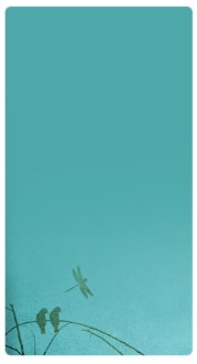 Birds Banner Widget