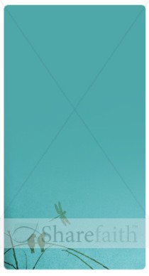 Birds Banner Widget