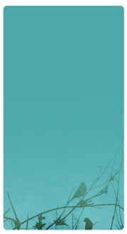 Bird Banner Widget