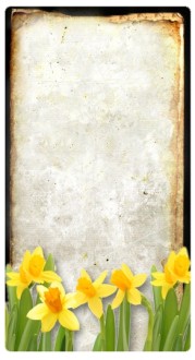 Yellow Flowers Banner Widget