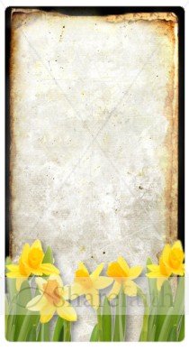 Yellow Flowers Banner Widget