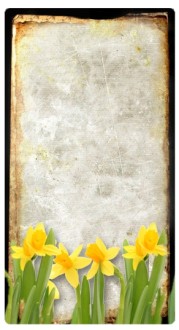 Spring Flowers Banner Widget