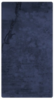 Dark Blue Banner Widget