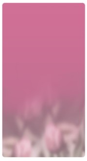 Pink Banner Widget