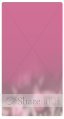 Pink Banner Widget