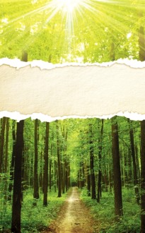 Forest Nature Church Bulletin Cover