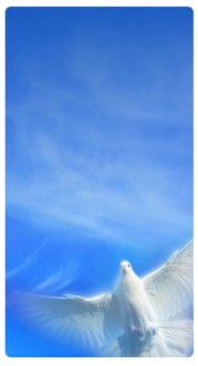 Spirit Banner Widget