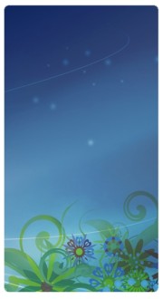 Night Sky Banner Widget