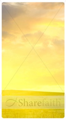 Evening Sky Banner Widget