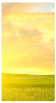 Sunrise Banner Widget