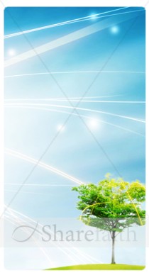 Tree of Life Banner Widget