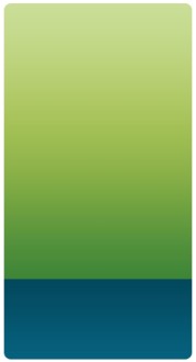 Green and Blue Banner Widget