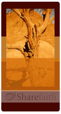 Desert Tree Banner Widget