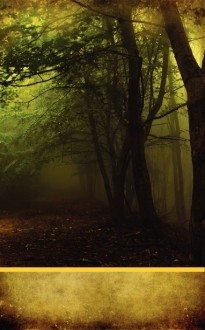Forest Trees Church Bulletin 