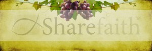  Vine Website Banner