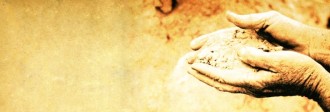 Creation Website Banner