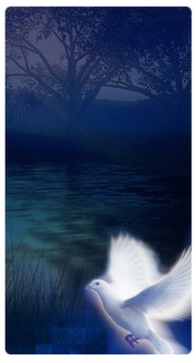 Spirit Dove Banner Widget