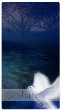 Spirit Dove Banner Widget
