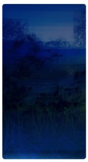 Midnight Blue Banner Widget