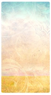 Fluer de Lis Banner Widget