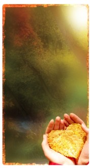 Heart Leaf Banner Widget