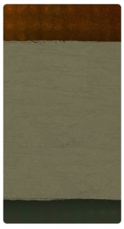 Plain Banner Widget