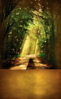 Pathway Church Bulletin