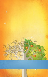 A Transformed Life Bulletin