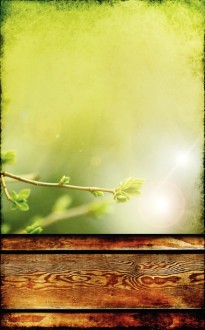Nature Church Bulletin Template