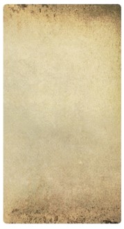 Plain Parchment Banner Widget