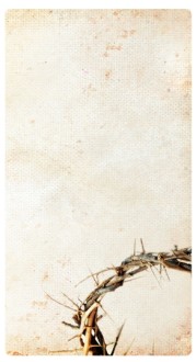 The Crown of Thorns Banner Widget