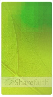 Fresh Leaf Banner Widget