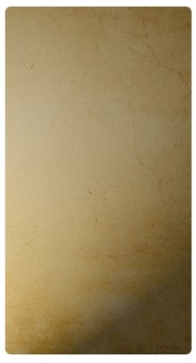 Light Brown Banner Widget