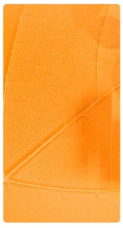 Orange Texture Banner Widget