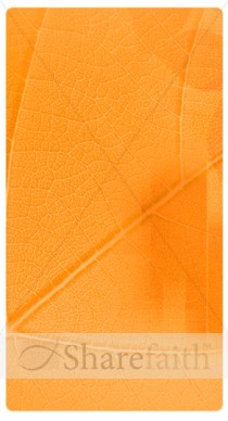 Orange Texture Banner Widget