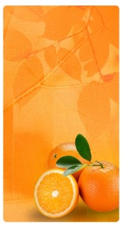 Orange Fruit Banner Widget