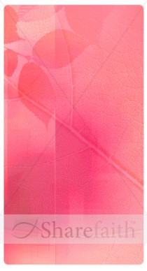 Pink Leaf Banner Widget