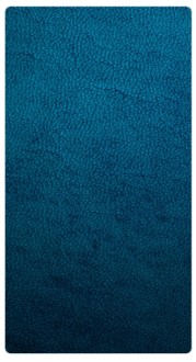 Texture Blue Banner Widget
