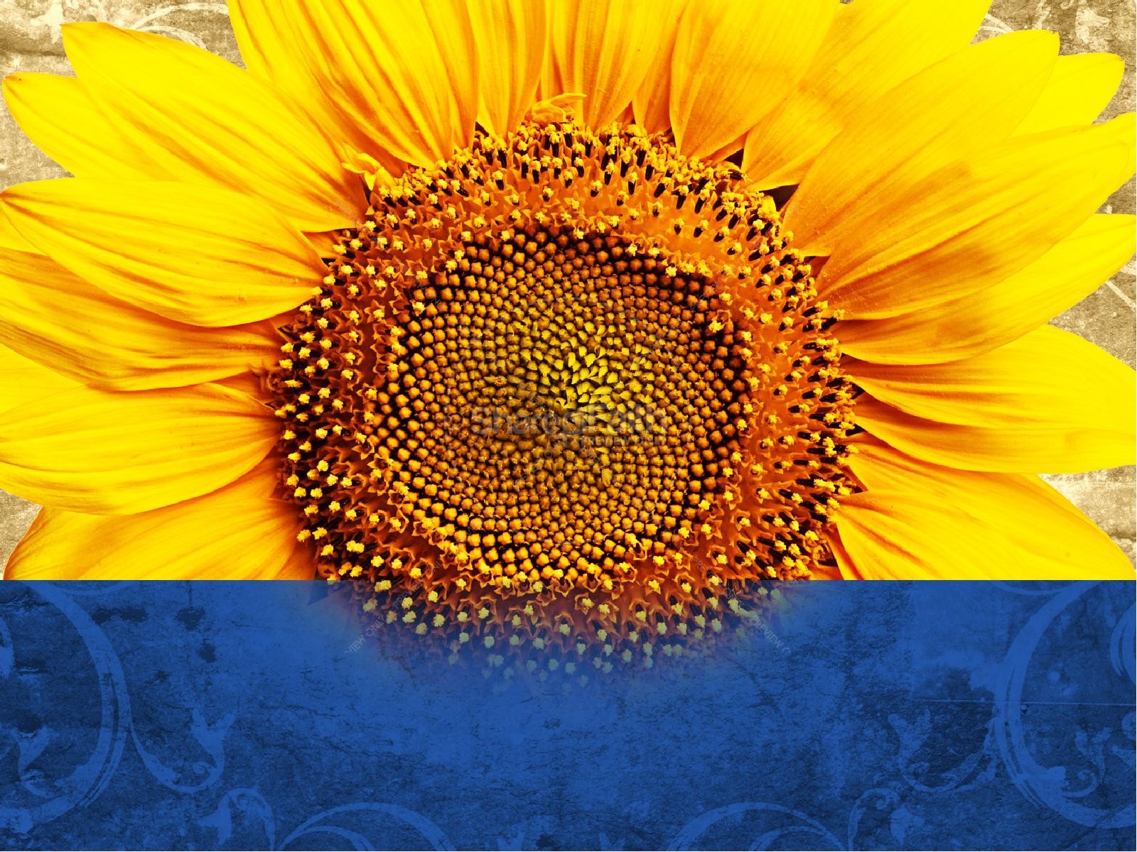 Sharefaith Church sites, Church Graphics, Sunday School, VBS