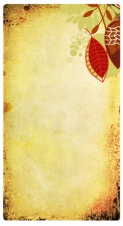 Fall Designs Website Sidebar