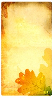 Season Leaves Website Sidebar