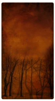 Winter Trees Website Sidebar
